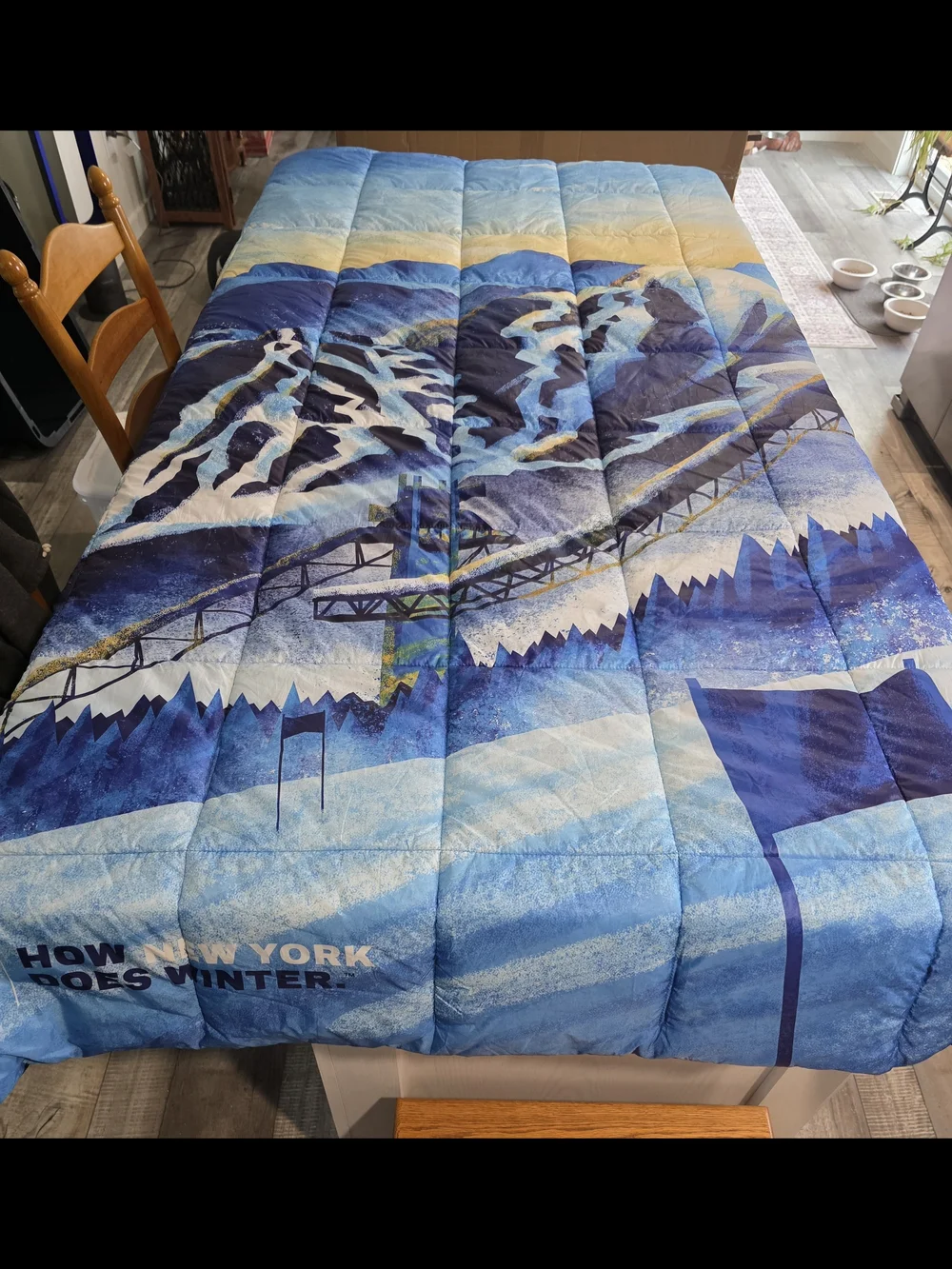 Limited Edition Lake Placid 2023 Twin Comforter